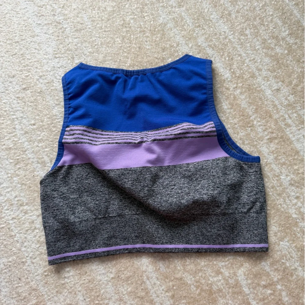 Gray and Blue Crop Top with Purple Accents